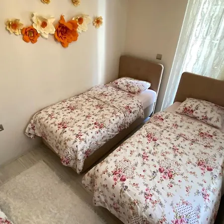 My White House شقة *