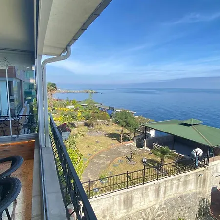 My White House ترابزون