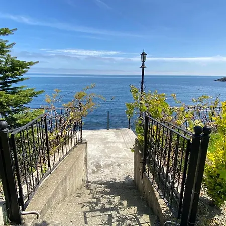 My White House ترابزون