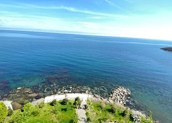 My White House Lejlighed