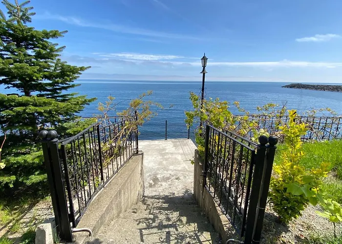 My White House Trabzon